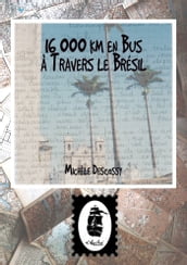 16 000 km en Autobus à Travers le Brésil