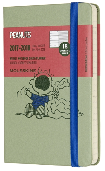 18 mesi - Agenda settimanale con spazio per note Peanuts Pocket verde salice