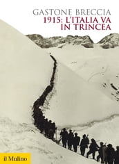 1915: l Italia va in trincea