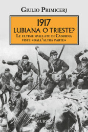 1917 Lubiana o Trieste? Le ultime spallate di Cadorna viste «dall altra parte»