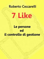 7 like - le persone ed il controllo di gestione