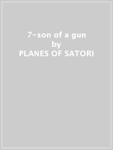 7-son of a gun - PLANES OF SATORI