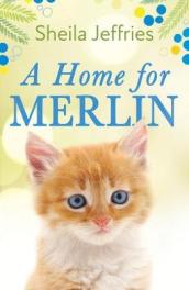 A Home for Merlin