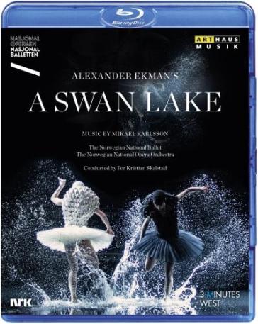 A swan lake - MIKAEL KARLSSON