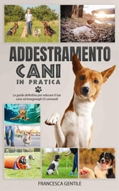 Addestramento cani in pratica