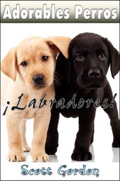 Adorables Perros ¡Los Labradores!