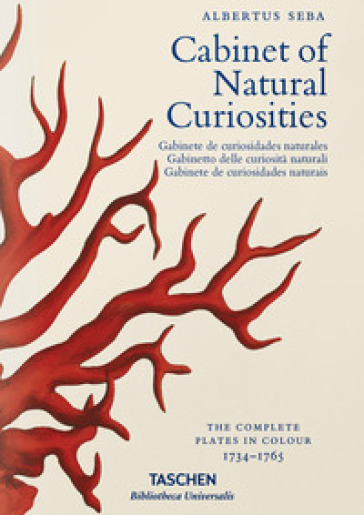 Albertus Seba. Cabinet of natural curiosities. Ediz. italiana, spagnola e portoghese - Irmgard Musch - Jes Rust - Rainer Willmann