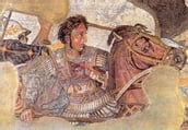 Alexander The [Not So] Great