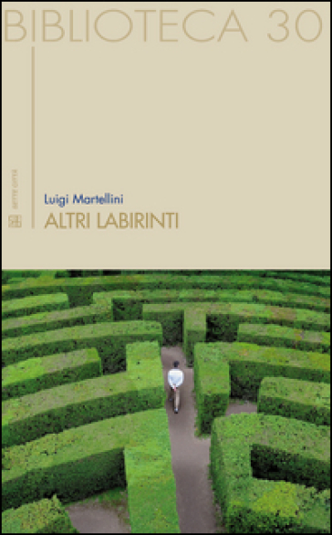 Altri labirinti. Percorsi negli spazi letterari - Luigi Martellini