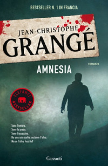 Amnesia - Jean-Christophe Grangé