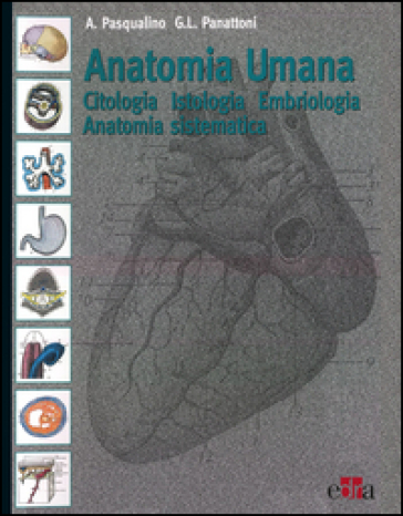 Anatomia umana. Citologia, istologia, embriologia, anatomia sistematica - Arcangelo Pasqualino - G. L. Panattoni