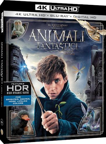 Animali Fantastici E Dove Trovarli (4K Ultra Hd+Blu-Ray) - David Yates