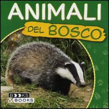 Animali del bosco. Ediz. illustrata - Martina Boschi