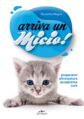 Arriva un micio! Preparativi, attrezzatura, accoglienza, cure