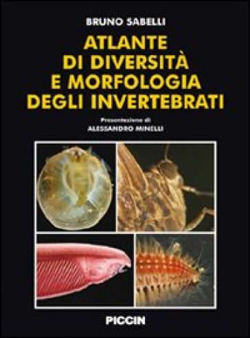 Atlante di diversità e morfologia degli invertebrati - Bruno Sabelli