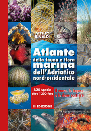 Atlante della fauna e flora marina dell'Adriatico nord-occidentale - Attilio Rinaldi