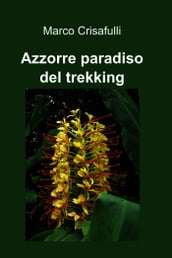 Azzorre paradiso del trekking