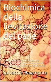 BIOCHIMICA DELLA LIEVITAZIONE DEL PANE