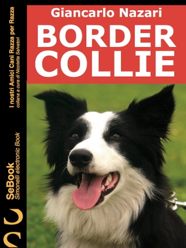 BORDER COLLIE - Giancarlo Nazari