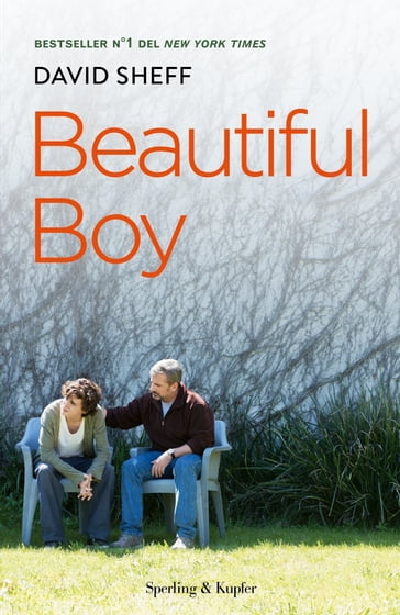 Beautiful boy - David Sheff