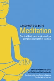 A Beginner s Guide to Meditation