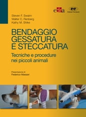 Bendaggio, gessatura e steccatura