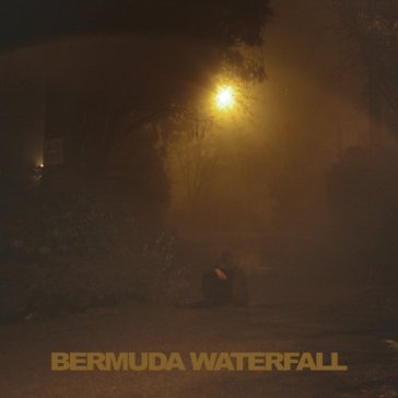 Bermuda waterfall - SEAN NICHOLAS SAVAGE