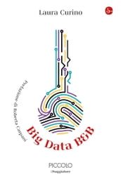 Big Data B&B