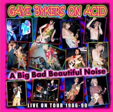 Big bad beautiful noize - GAYE BYKERS ON ACID