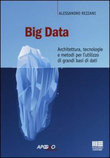 Big data. Architettura, tecnologie e metodi per l'utilizzo di grandi basi di dati - Alessandro Rezzani