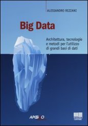 Big data. Architettura, tecnologie e metodi per l