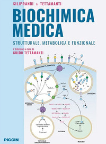 Biochimica medica strutturale metabolica e funzionale - Noris Siliprandi - Guido Tettamanti