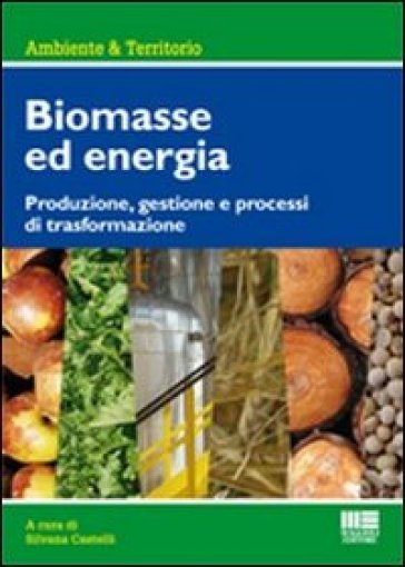 Biomasse per la produzione di energia. Produzione, gestione e processi di trasformazione - Silvana Castelli de Sannazzaro