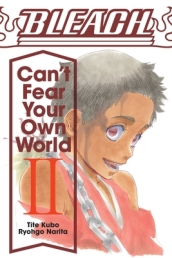 Bleach: Can t Fear Your Own World, Vol. 2