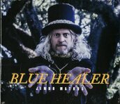 Blue healer