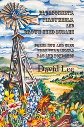 Bluebonnets, Firewheels, and Brown-eyed Susans, or, Poems New and Used From the Bandera Rag and Bone Shop