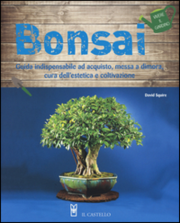 Bonsai - David Squire