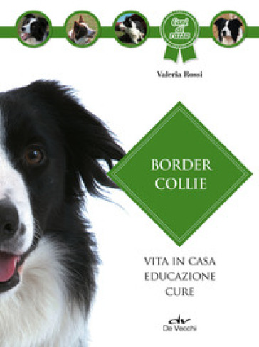 Border collie - Valeria Rossi