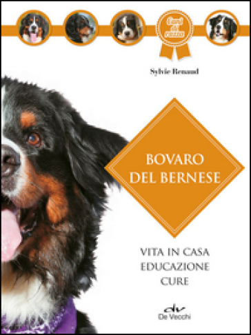 Bovaro bernese - Sylvie Renaud