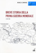 Breve storia della prima guerra mondiale. 1: 1914-1916