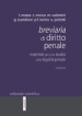 Breviaria di diritto penale. Materiali per uno studio sulla legalità penale