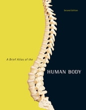 Brief Atlas of the Human Body, A