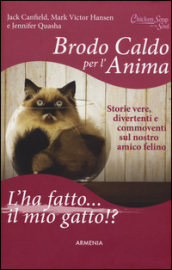 Brodo caldo per l anima. L ha fatto... il mio gatto!?