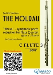 C Flute 3 part of 