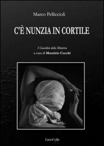 C'è Nunzia in cortile - Marco Pelliccioli