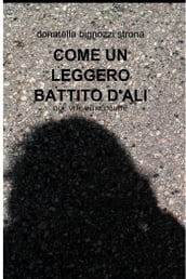 COME UN LEGGERO BATTITO D ALI