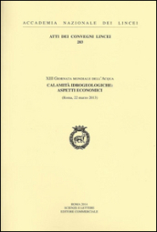 Calamità idrogeologiche. Aspetti economici. 13ª Giornata mondiale dell acqua (Roma, 22 marzo 2013)