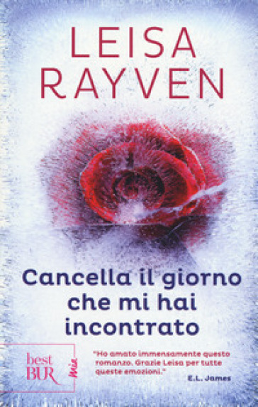 Cancella il giorno che mi hai incontrato - Leisa Rayven