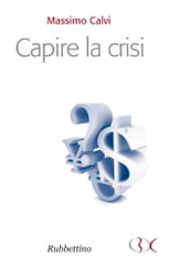 Capire la crisi