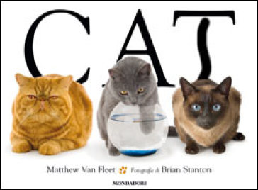Cat - Brian Stanton - Matthew Van Fleet
